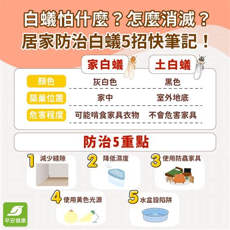 白蟻出現原因|白蟻怕什麼？防治消滅方法整理包：防堵白蟻入侵5點。